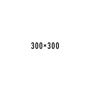 500x500_1